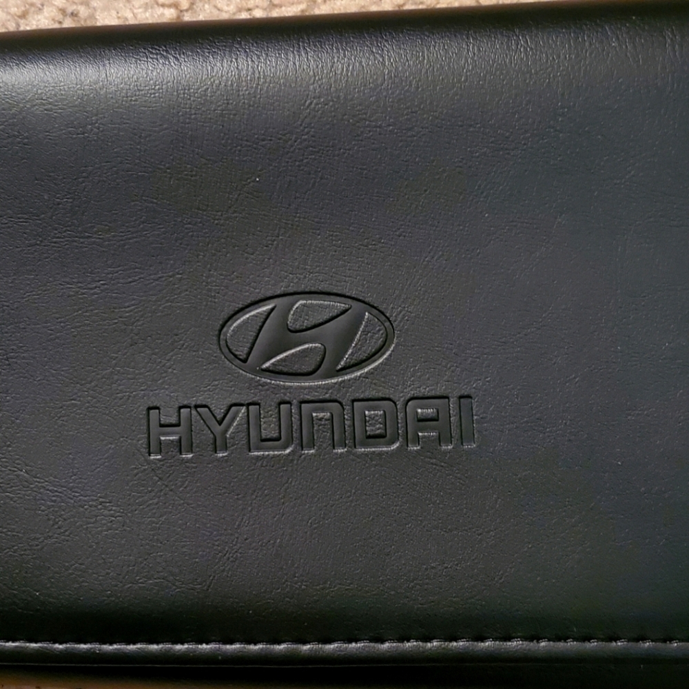 Hyundai 2010 Manual
